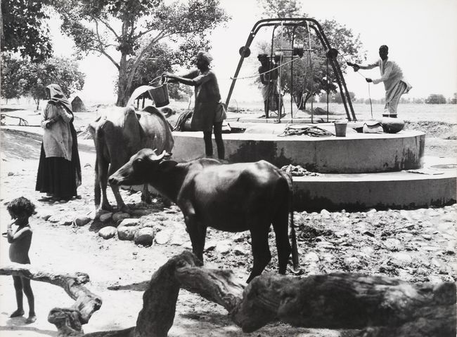 A village near the site of the future Chandigarh