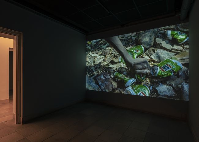 Karrabing Film Collective: Wonderland