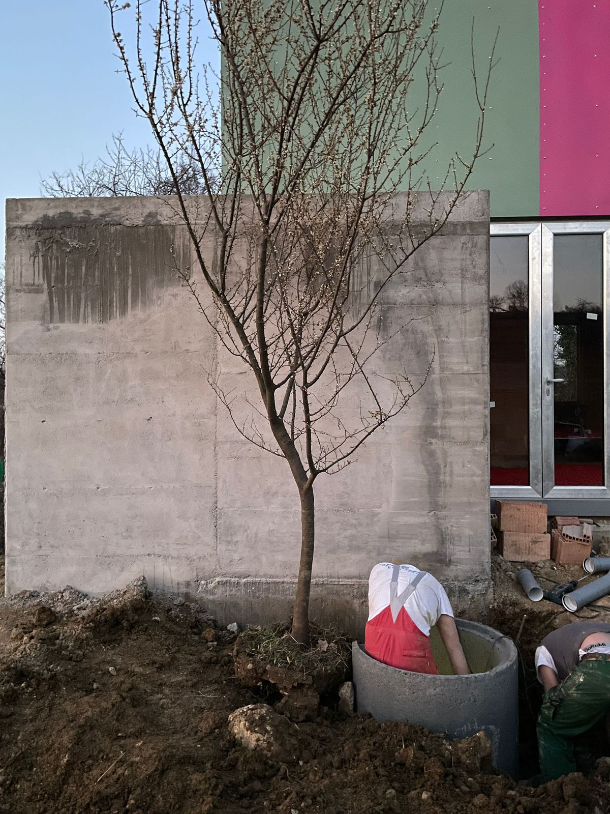 TEN, House for Five Women