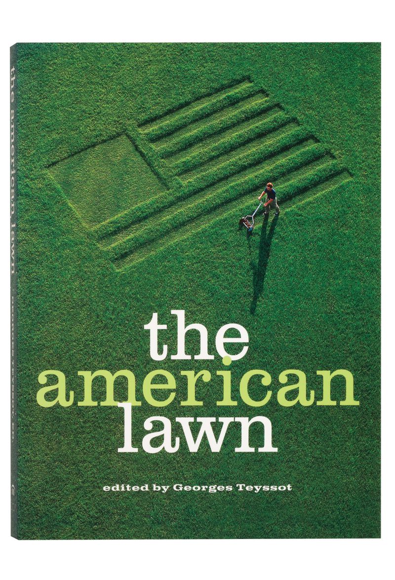 The American Lawn Surface Of Everyday Life