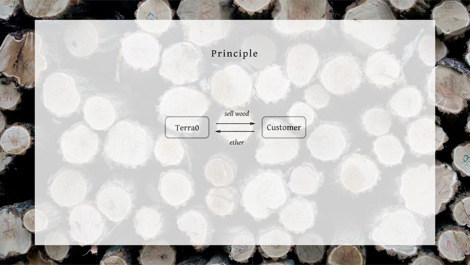 terra0, capture d'écran de la vidéo