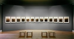 Eadweard Muybridge and the Photographic Panorama of San Francisco, 1850-1880