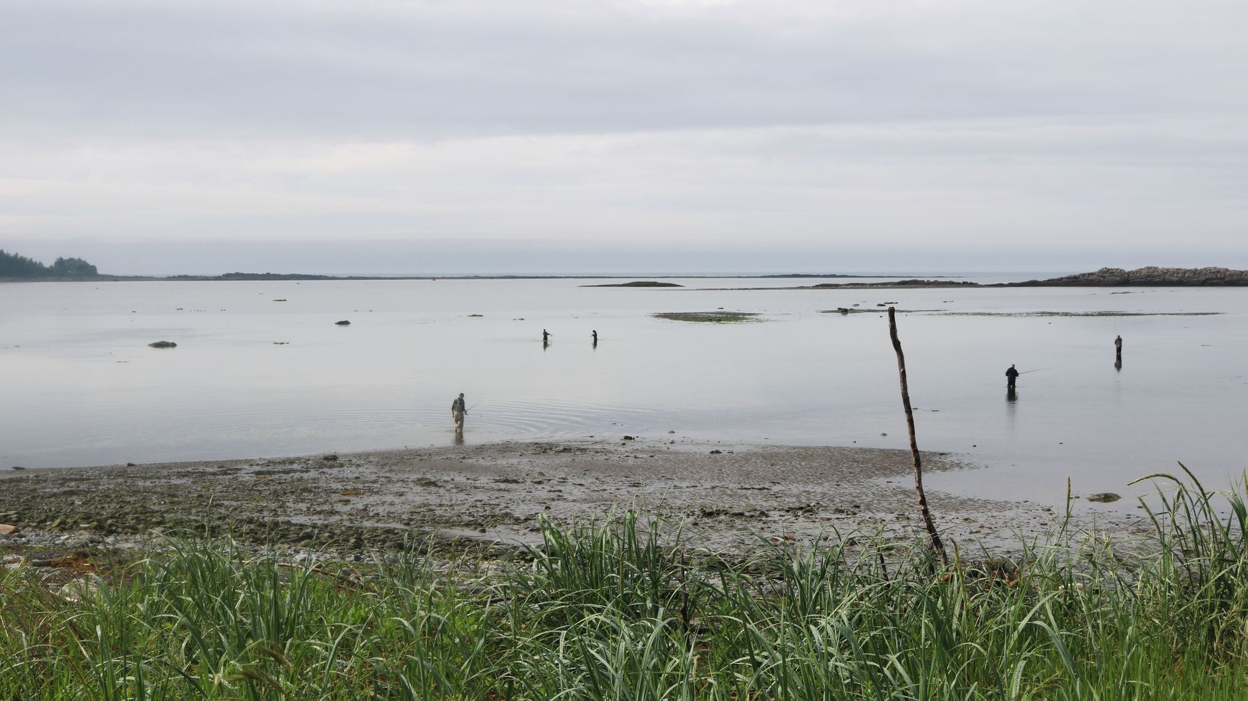 The Mouth of the Mitis River